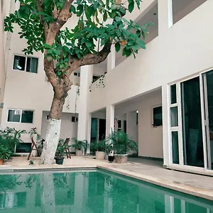 Cozy Zazil-ha , Playa del Carmen Mexico